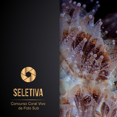 capa do livro Seletiva - Concurso de Foto Sub (06/2022)