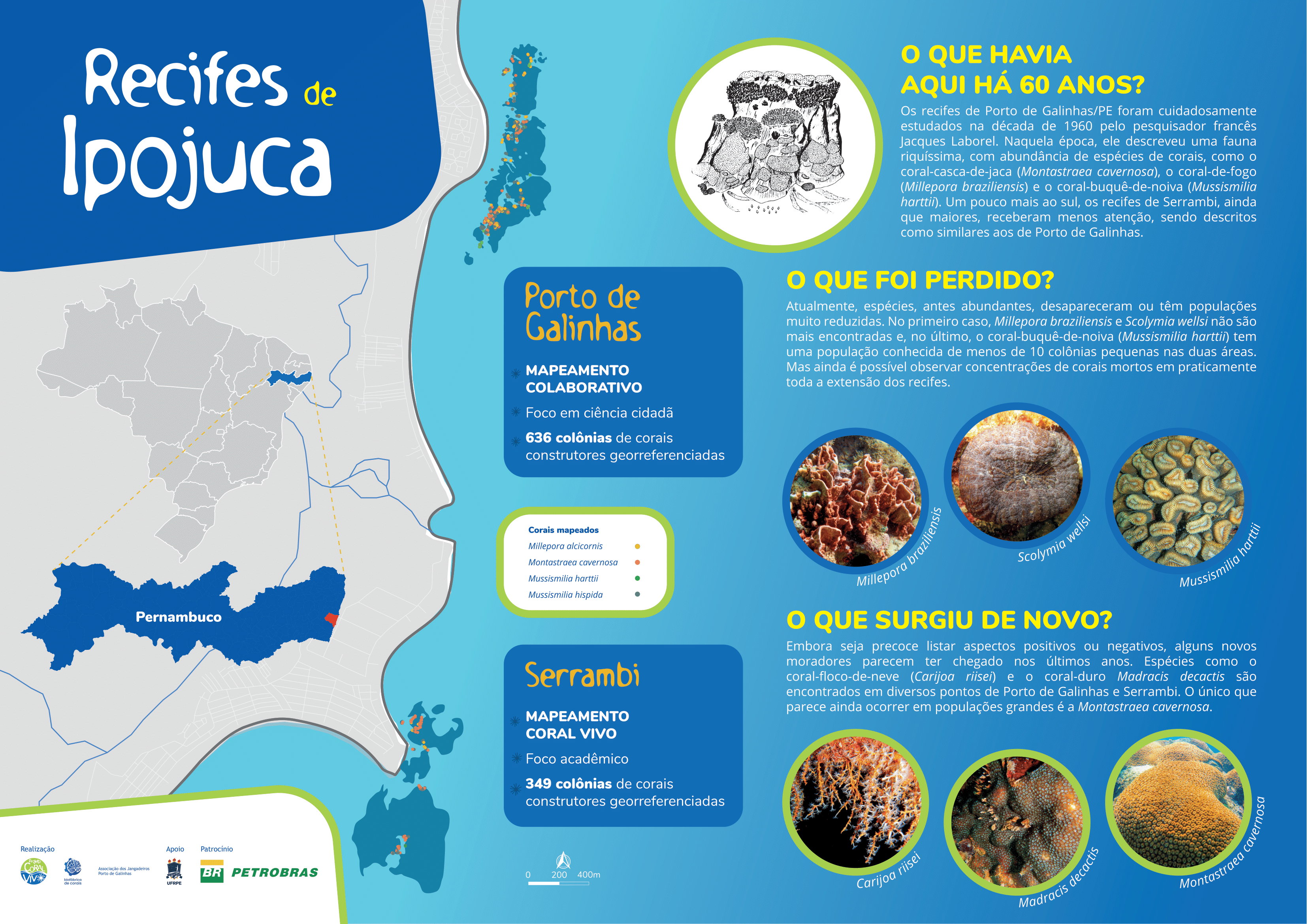 capa do livro Coral Vivo - Mapa Recifes de Ipojuca