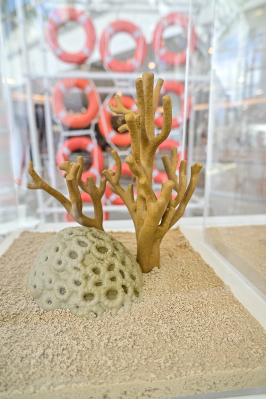 Exposição Mudamos o Clima, Agora o Clima Muda Tudo, Belém