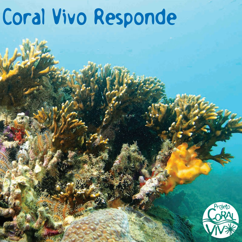 capa do livro coral vivo responde